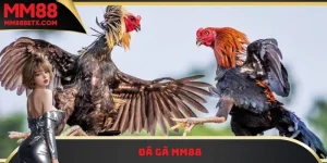 Trò Chơi MM88 – Thế Giới Giải Trí Đỉnh Cao Cho Cược Thủ - Tawin