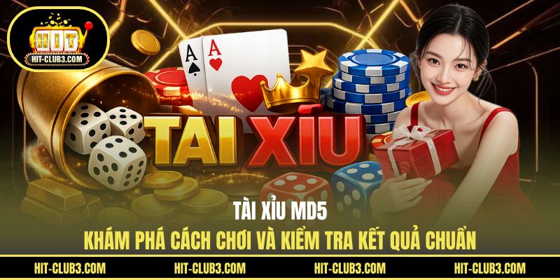 Tool Tài Xỉu - Giải Pháp Phân Tích Cầu Cược Cho Người Chơi - Tawin